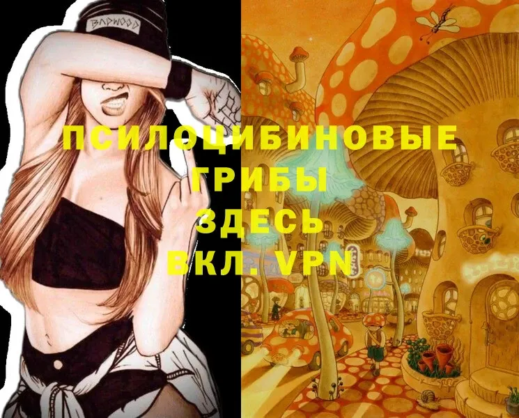 Галлюциногенные грибы Psilocybe  гидра как зайти  Нерюнгри 